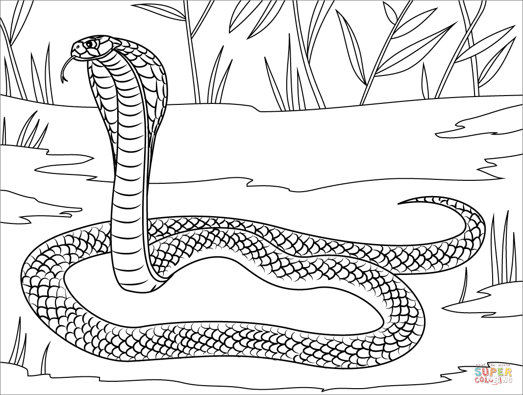 Philippine cobra coloring page free printable coloring pages