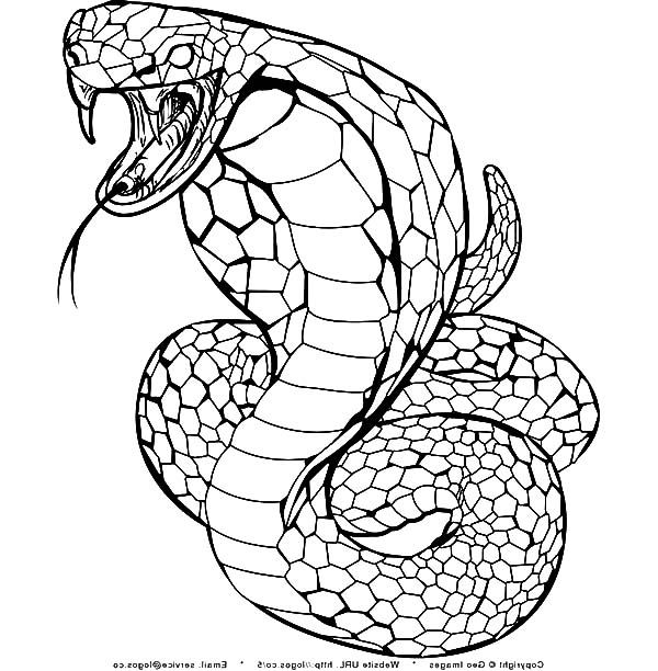 King cobra spurt poison coloring pages kids play color snake coloring pages animal coloring pages coloring pages