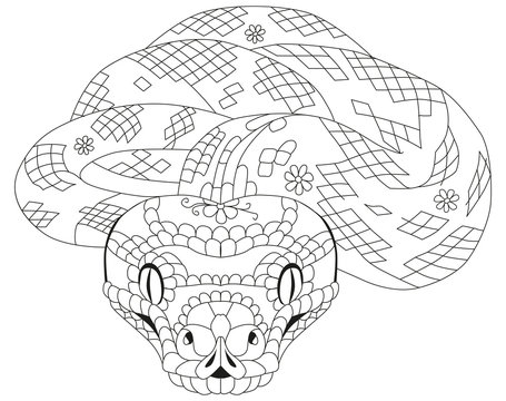 Coloring book snakes images â browse photos vectors and video