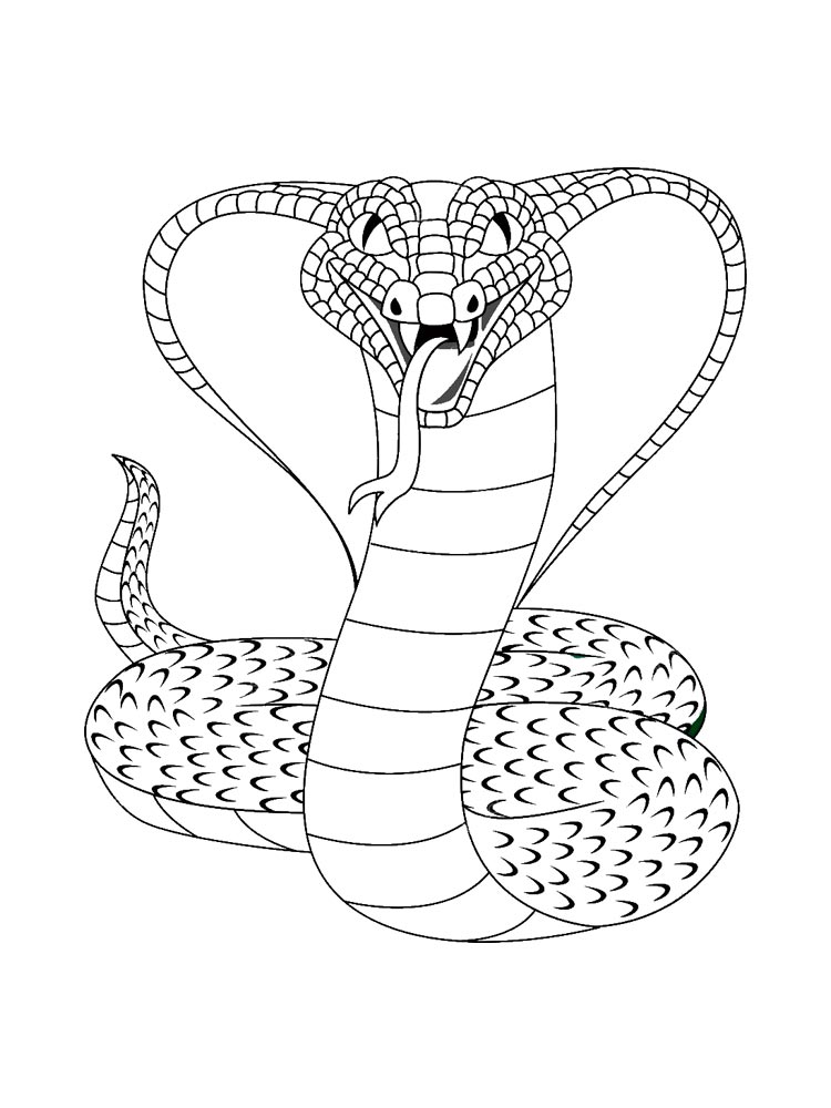 Drawing of a cobra snake opening its mouth to catch the prey coloring page