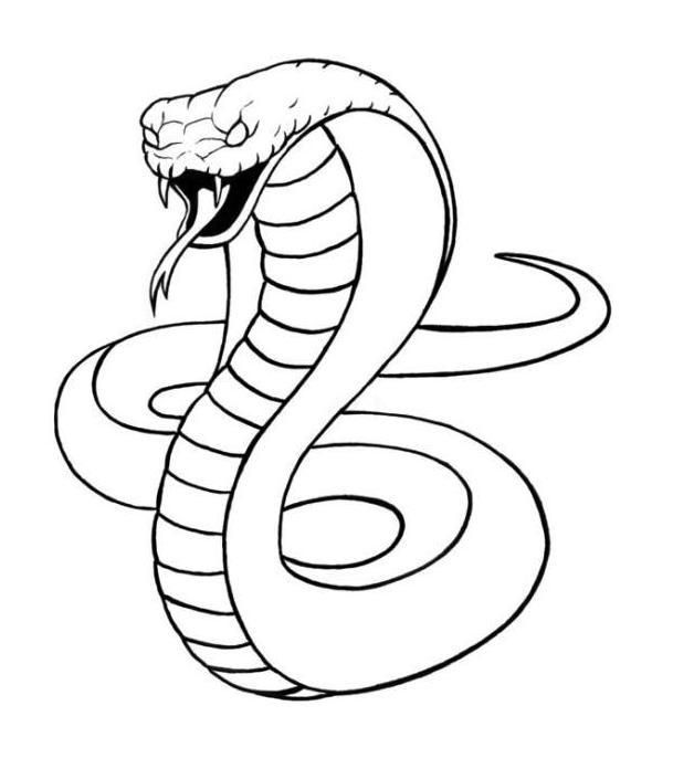 King cobra snake coloring sheet dibujo de serpiente serpiente para dibujar pãginas para colorear de animales