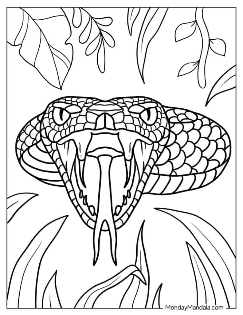 Snake coloring pages free pdf printables