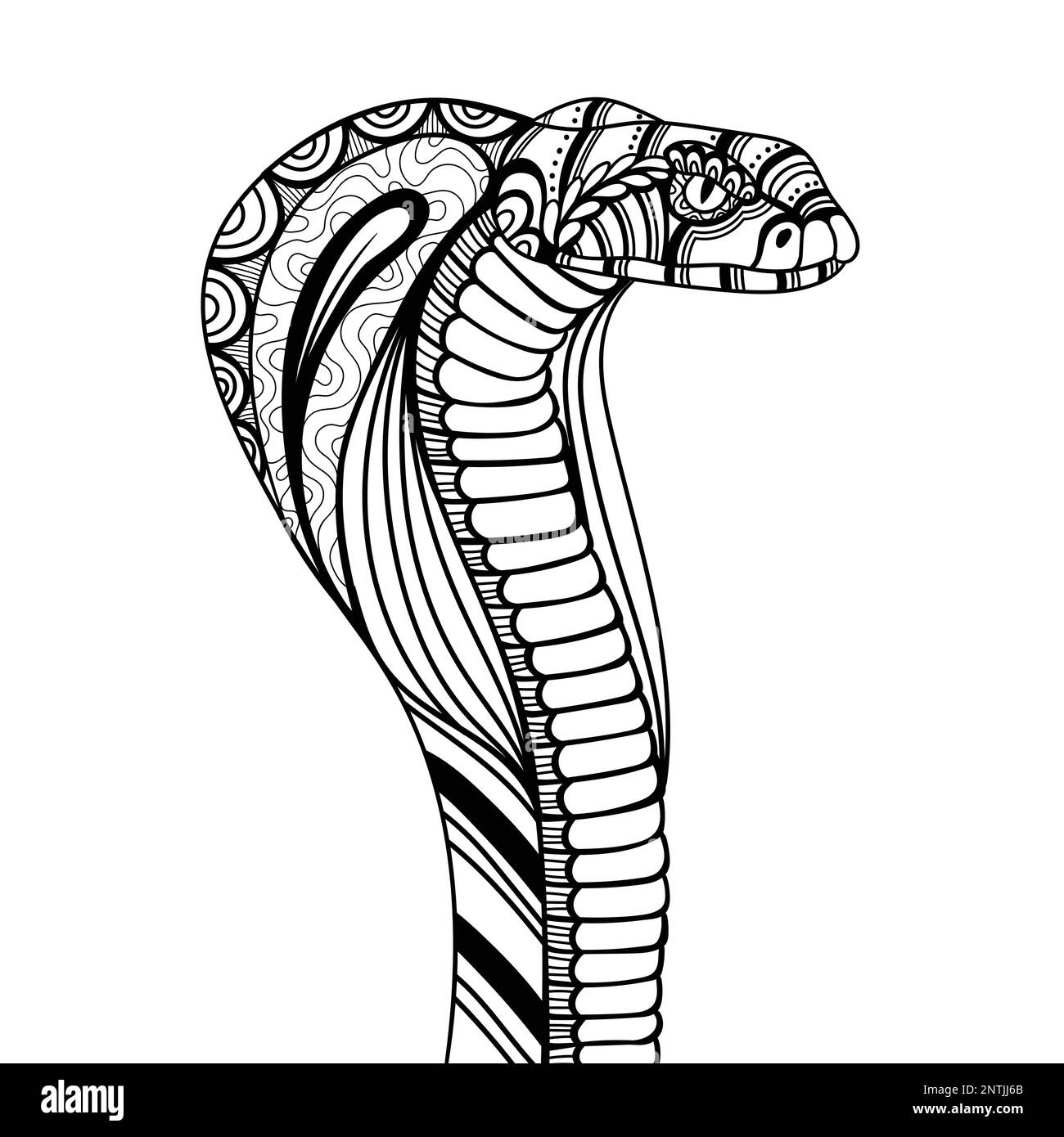 Cobra snake coloring book hi