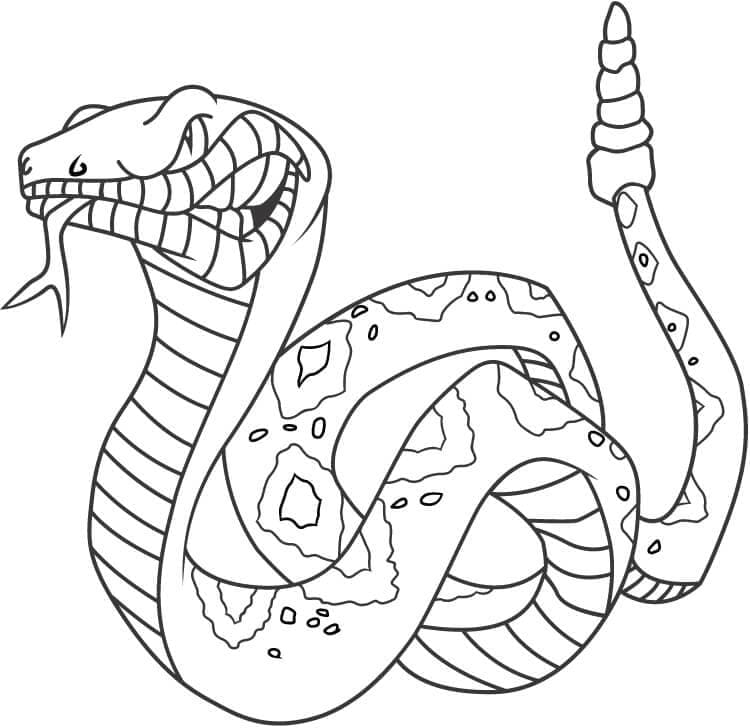 Snake free coloring page