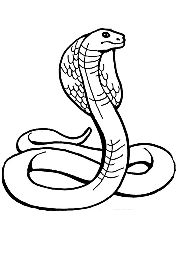 Coloring pages printable snake coloring pages for kids