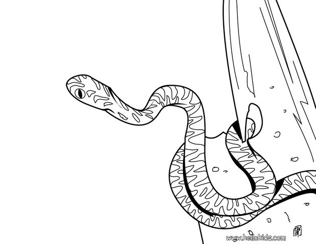 Clouded snake coloring pages