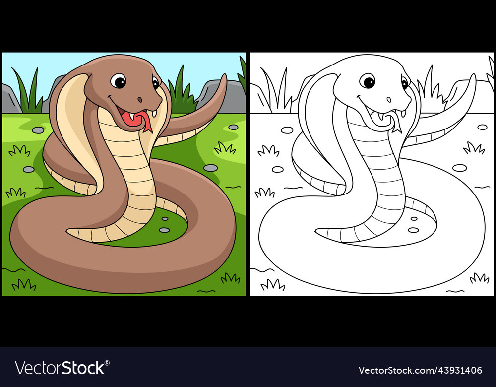 Cobra animal coloring page colored royalty free vector image