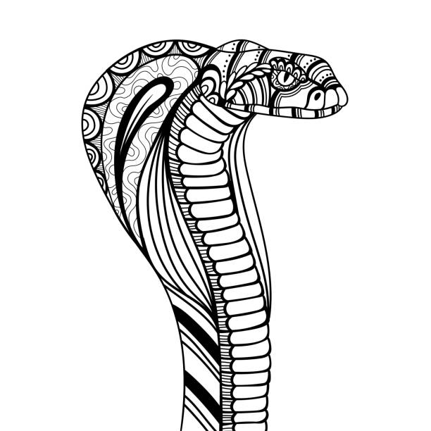 Snake cobra side position mandala coloring page illustration stock illustration