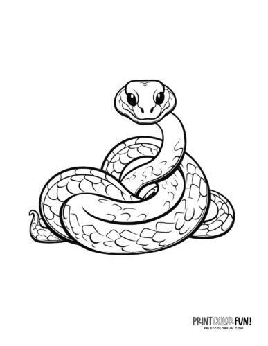 Snake coloring pages and clipart at