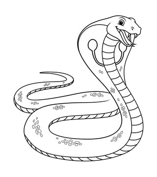 Coloring book snakes images â browse photos vectors and video