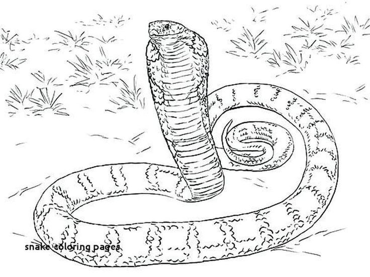 Snake coloring pages pdf printable