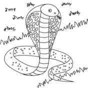 Cobra coloring pages free coloring pages