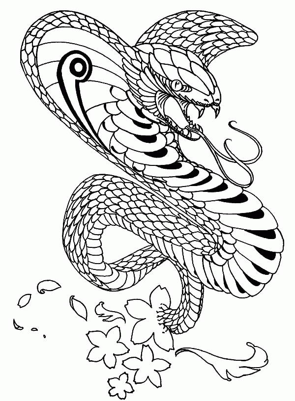 Free king cobra coloring page download free king cobra coloring page png images free cliparts on clipart library