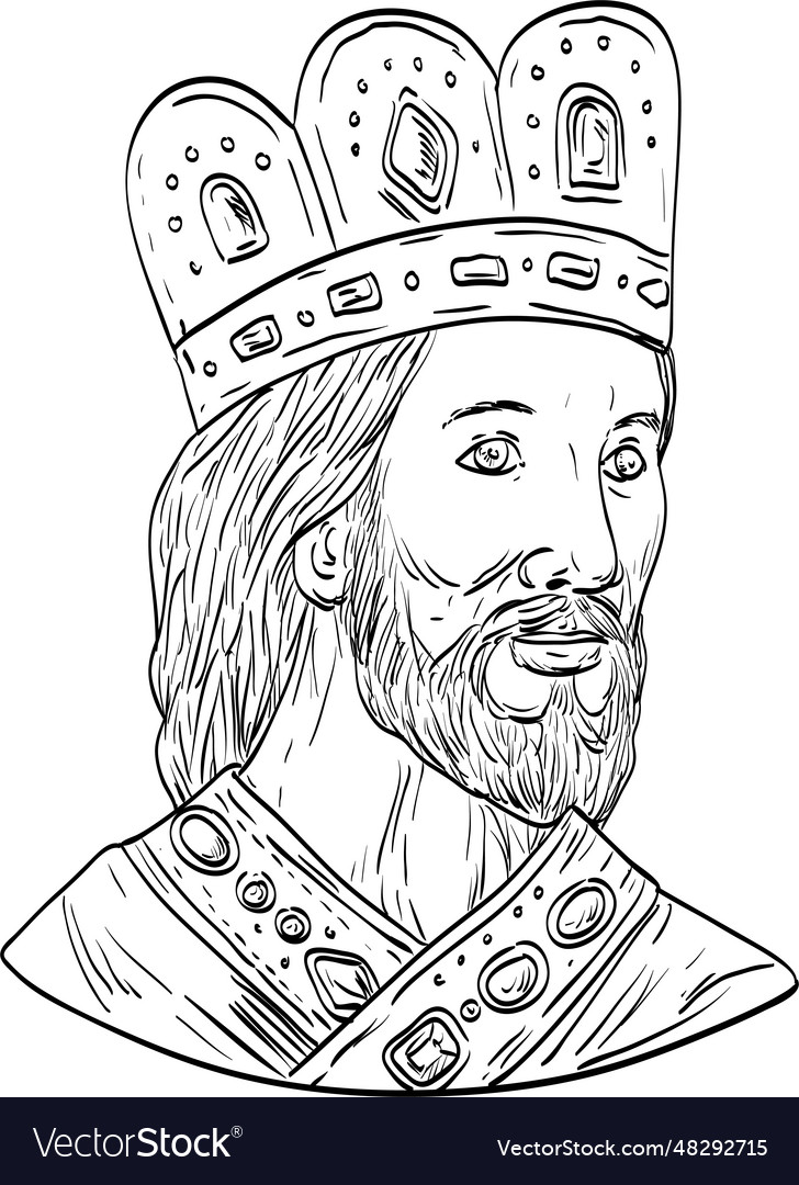 King david of israel front medieval drawing vector image