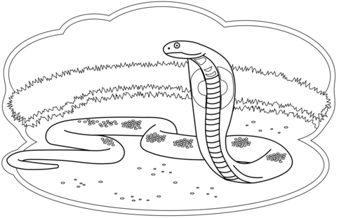 King cobra coloring page free printable coloring pages