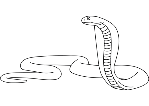 King cobra coloring page free printable coloring pages