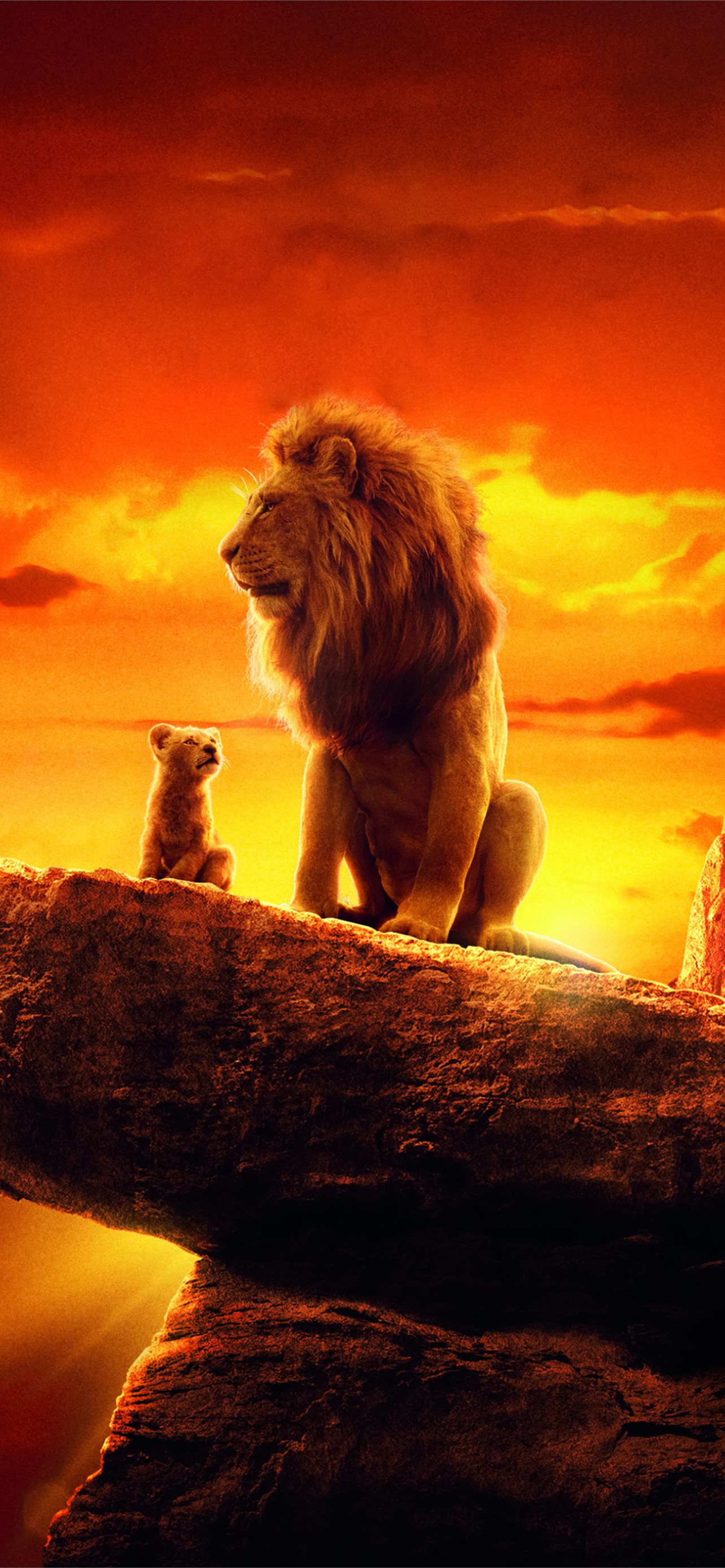 Best lion king iphone hd wallpapers