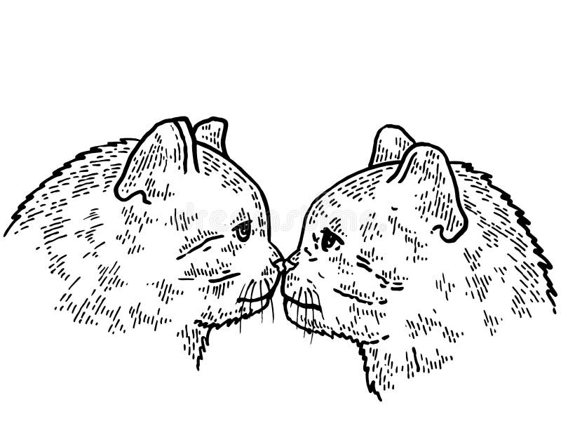 Cats kiss stock illustrations â cats kiss stock illustrations vectors clipart