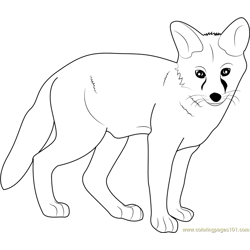 Coloring pages tn young fox