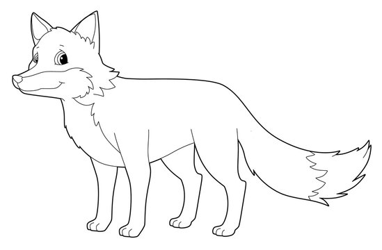 Fox coloring page images â browse photos vectors and video