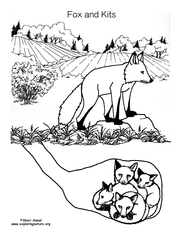 Fox and kits in den coloring page