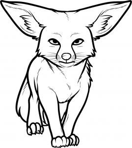 How to draw a kit fox kit fox step fox coloring page animal coloring pages fox sketch