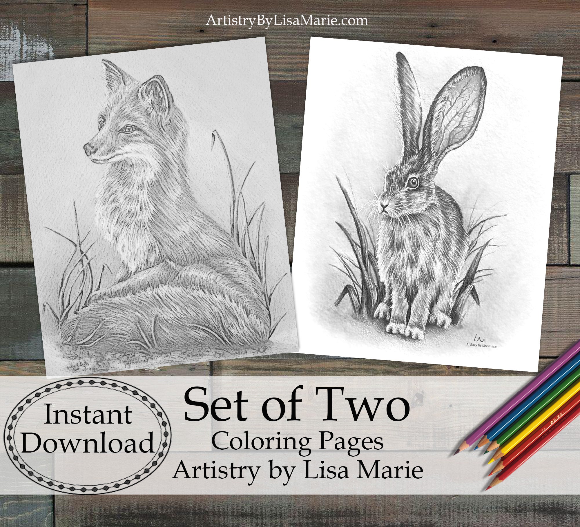 Wild hare red fox digital coloring pages for adults grayscale printable adult craft kit woodland animals