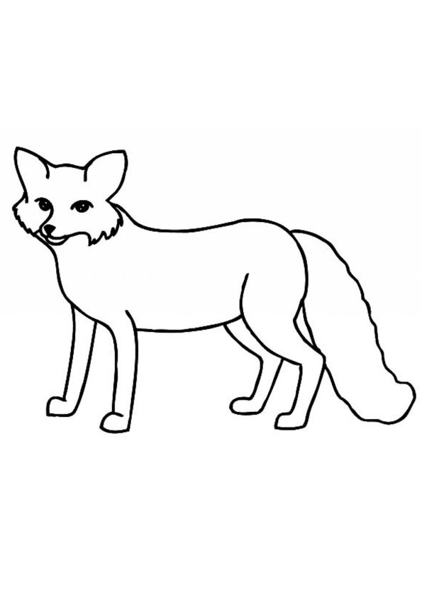 Coloring pages fox coloring pages