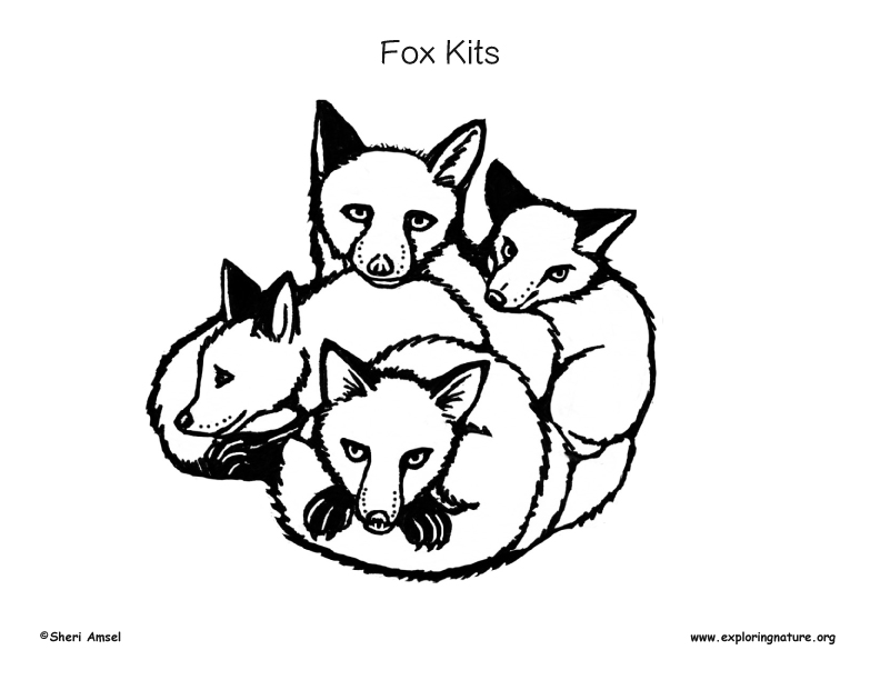 Fox kits coloring page