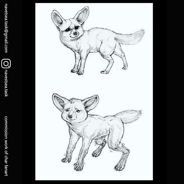 Fennec fox character drawing by navetsea