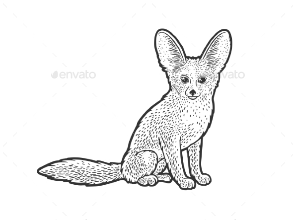 Fennec fox sketch vector illustration vectors