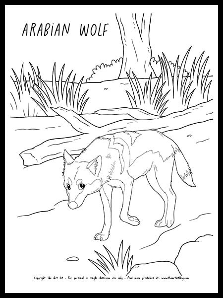 Arabian wolf coloring page free printable â the art kit