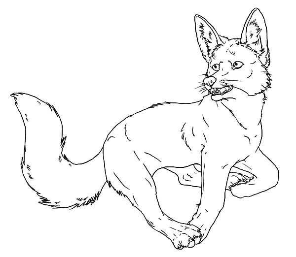 Kit fox running scared coloring pages