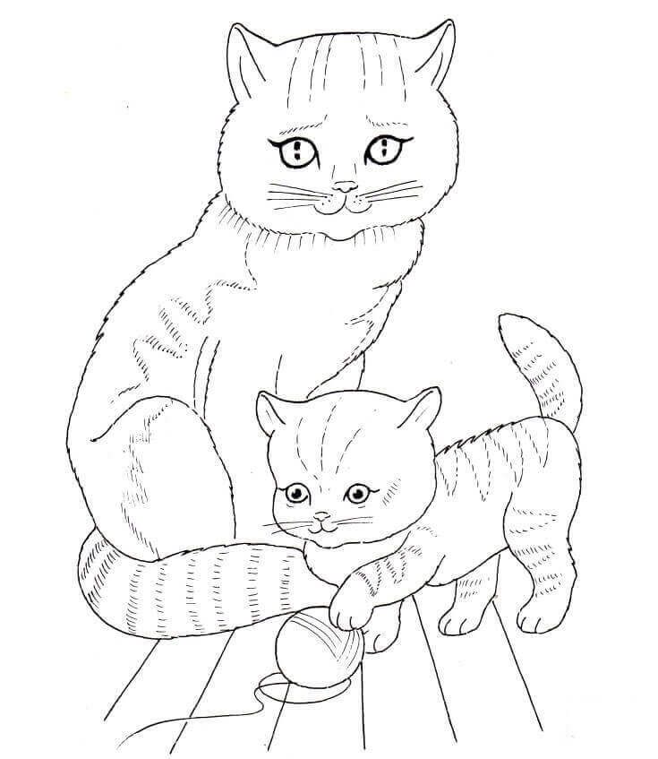 Cat and kitten coloring page cat coloring page animal coloring pages kittens coloring