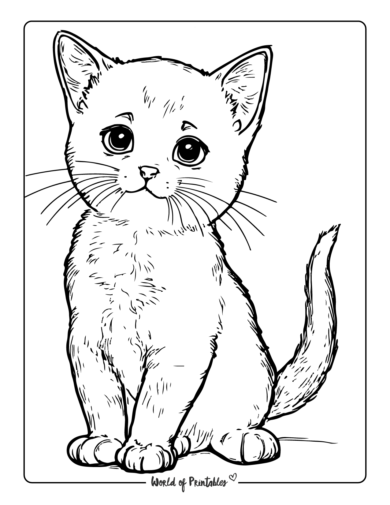 Cat coloring pages for kids adults