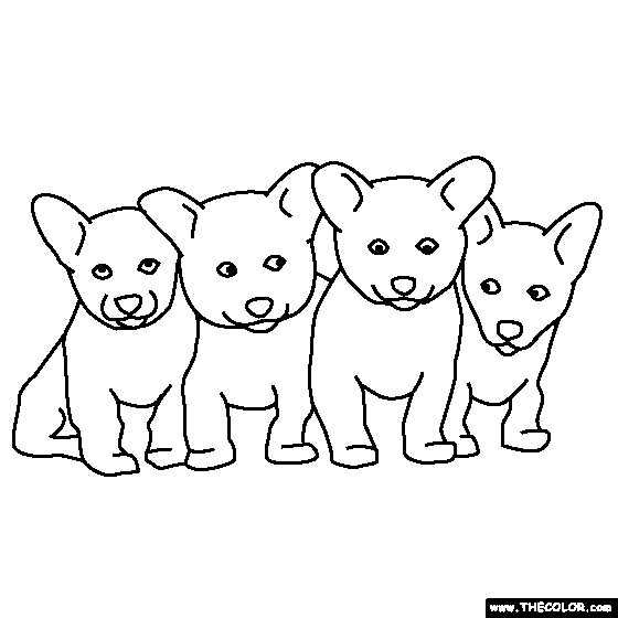 Pets online coloring pages