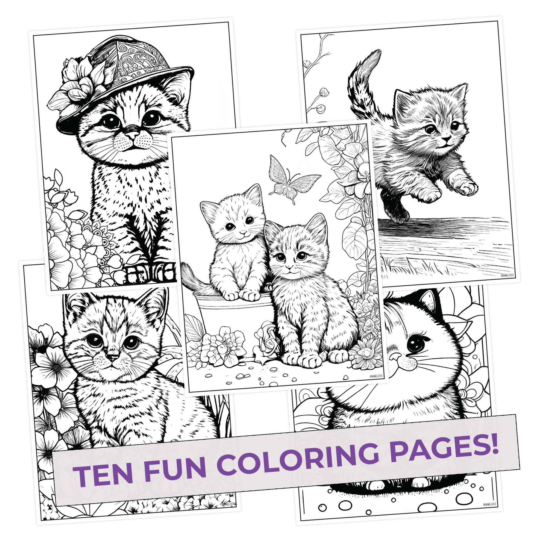 Cat coloring pages