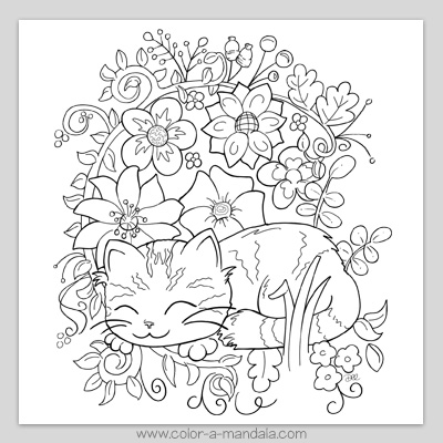 Sleeping kitten coloring page m