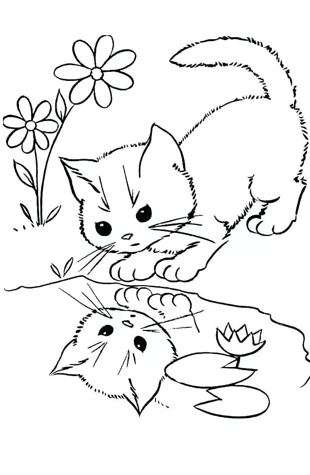 Cute kitten coloring pages pdf