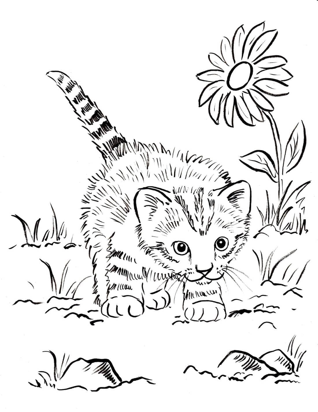 Small kitten coloring page