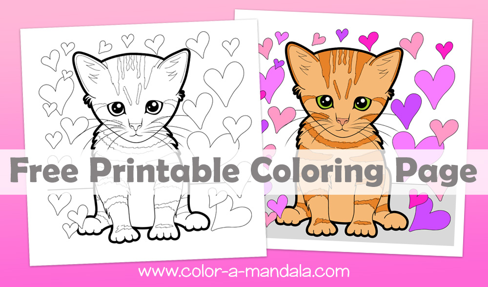 Kitten love coloring page m