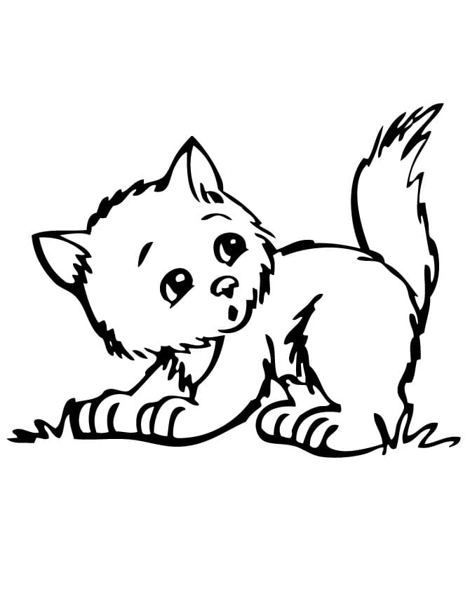 Free kitten coloring page
