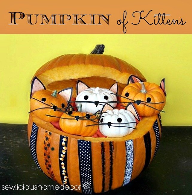 Pumpkin full of kittens halloween