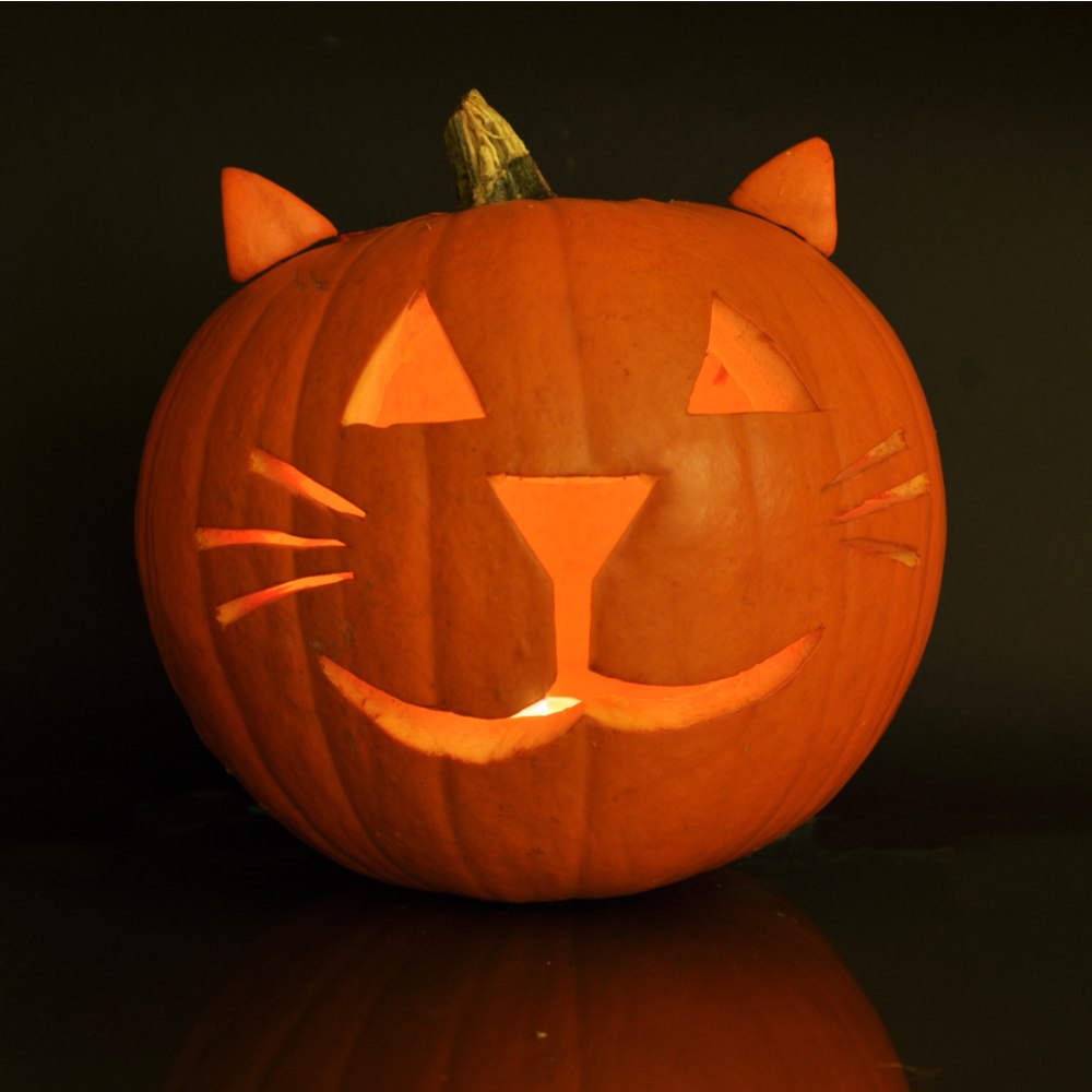 Cat pumpkin carvings