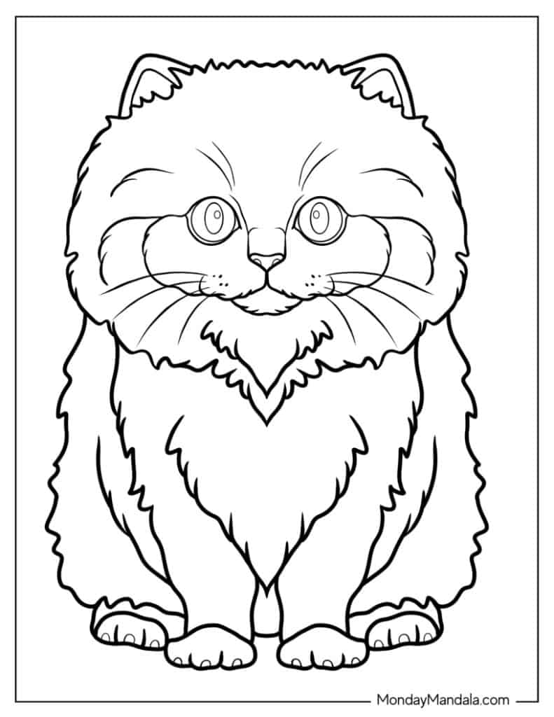 Kitten coloring pages free pdf printables