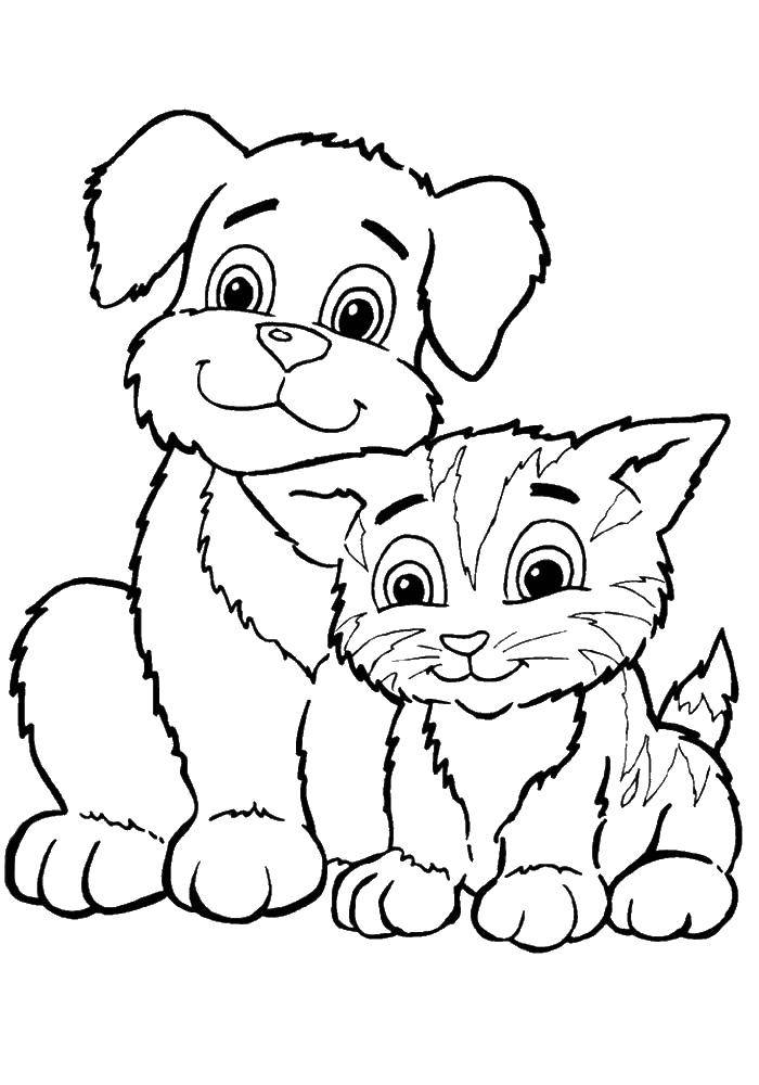 Online coloring pages coloring kitten sits next to a puppy coloring