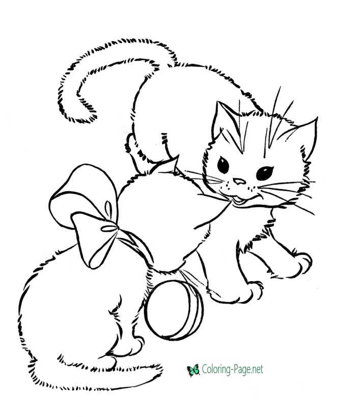 Cat coloring pages