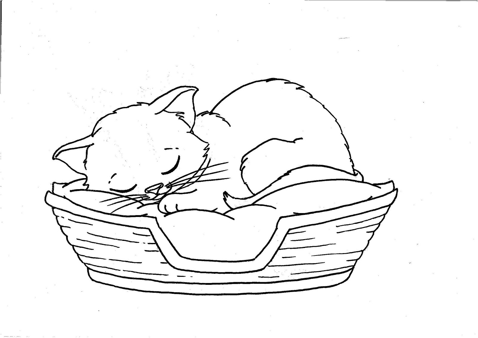 Kitten coloring pages