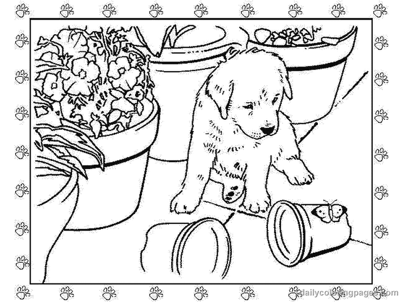 Free kitten and puppy coloring pages to print download free kitten and puppy coloring pages to print png images free cliparts on clipart library