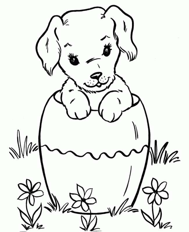 Free kitten and puppy coloring pages to print download free kitten and puppy coloring pages to print png images free cliparts on clipart library